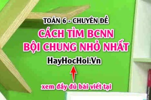 Cách tìm Bội chung nhỏ nhất (BCNN) của 2 số, 3 số Toán 6 (dễ hiểu nhất)